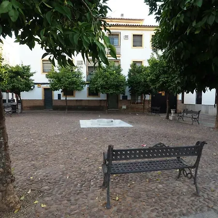 Calle Abejar,plaza